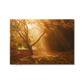 Magical Sunshine Printed Canvas Art - 28" X 40"
