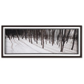 Enchanted Forest Framed Print Art - 16" X 40"