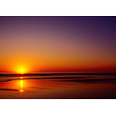 Sundance Printed Canvas Art - 20" X 28"