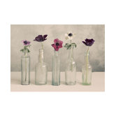 Floral Row Canvas