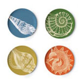 Sea Life Coaster Dish (Set of 4)