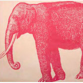 Elephant Napkin