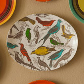 Ornithology Tray