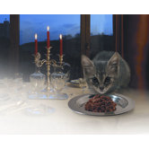 Fancy Treat Cat Dish