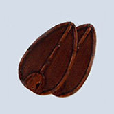 52" Ceiling Fan Blade (Set of 5)