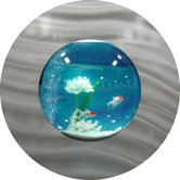 Round Bubble Aquarium