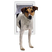 Extra Large with Telescoping Frame