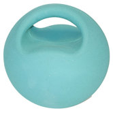 8.8 lbs Premium Handle Medicine Ball