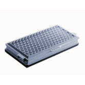 Hepa-Filter "SF-AH 50"