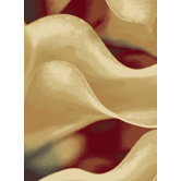Shadows Insignia Multi Rug