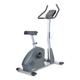 B55SG Upright Bike