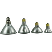 Par 20 Metal Halide Flood Light Bulb