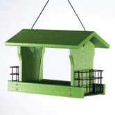 Go Green Ranch Bird Feeder with Suet