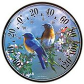 Bluebird Thermometer