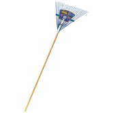Ames Rakes