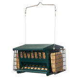 Mini Seeds-N-More Feeder