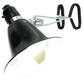 60 Watt Agrosun Dayspot Grow Light Kit