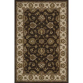 Nourison Oriental Rugs