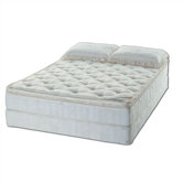 Essence Water Mattress Set
