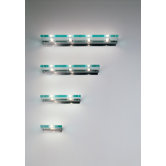 Jek 1P Wall Sconce