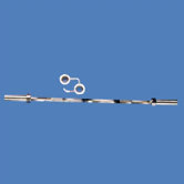 Olympic Curl Bar