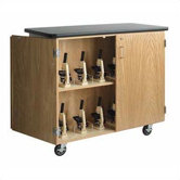 Mobile Microscope Storage Cabinet