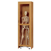 Mobile Skeleton Cabinet