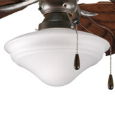 One Light Indoor or Outdoor Ceiling Fan Light Kit