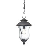 Carlisle 1x100W Outdoor Hanging Lantern in Black