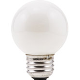 Decor G16.5 25 Watt 120 V Incandescent Bulb in Soft White (Set of 2)