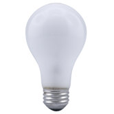 A19 100 Watt Incandescent Bulb in Inside Frost