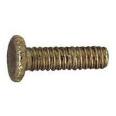 12 Fitter Screws in Antique Brass