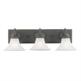 Abington  Bathroom Vanity Light in Weathered Bronze