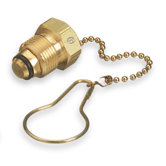 CGA580 Male Chain And Plug