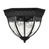 Camelot Outdoor Flush Mount in Black