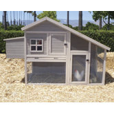 Extreme Cape Cod Chicken Coop