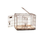 Great Crate Two-Door Dog Crate with Divider Panel in Chrome