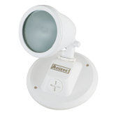 Ariel  Outdoor Spotlight with Frosted Glass