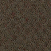 Aladdin Energized 24" x 24" Carpet Tile in Firewall