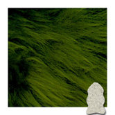Meadow Gold Star Rug