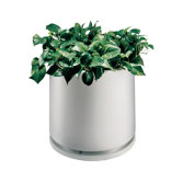 Commercial Zone Planters