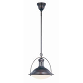 1 Light Mini Pendant