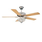 Ceiling Fans with Lights