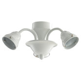 Three Light Branched Ceiling Fan Light Kit
