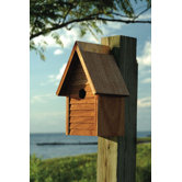 Starter Home Bird House