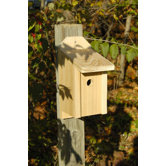 Joy Box Bird House