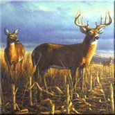Tuftop Deer Local Legend Trivet