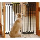 Black Extra-Tall Hallway Pet Gate in Black