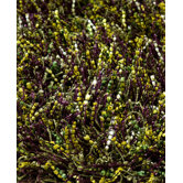 Sprinkle Lime Rug