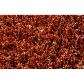 Sprinkle Orange Rug